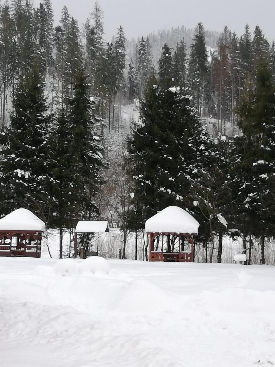 Кукулька Міні-Готель Slavske Luaran gambar